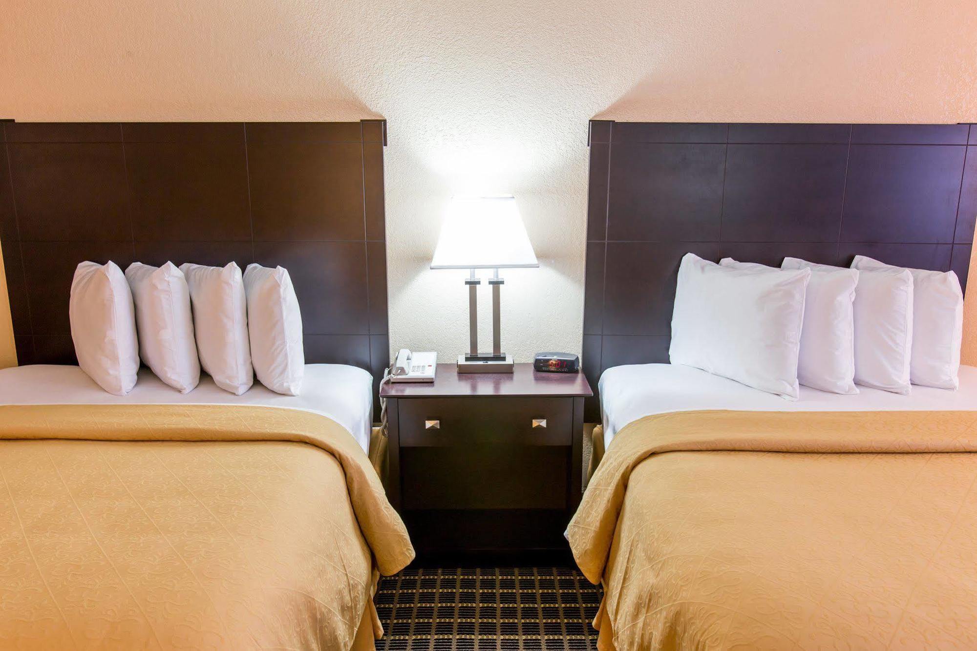 Quality Inn & Suites Big Rapids Near University מראה חיצוני תמונה
